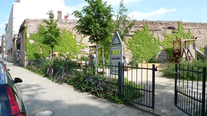 Bienen in der Auguststrasse
