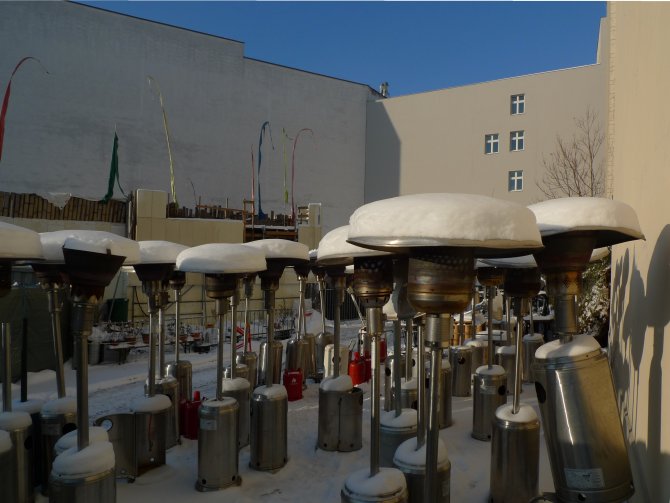 Heizpilze